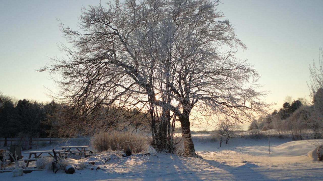 Kongsgard Bed & Breakfast Kalundborg Esterno foto