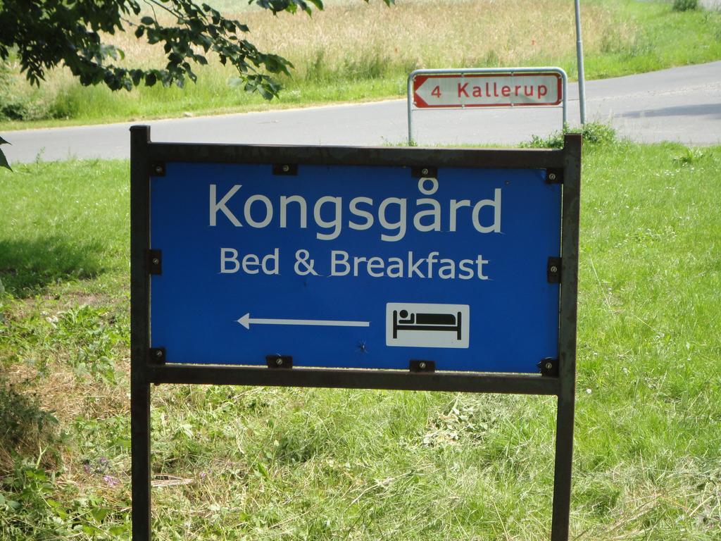 Kongsgard Bed & Breakfast Kalundborg Esterno foto