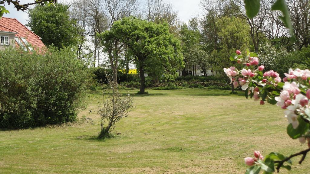 Kongsgard Bed & Breakfast Kalundborg Esterno foto
